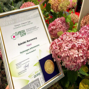 KUROWSCY питомник декоративных деревьев и кустарников
